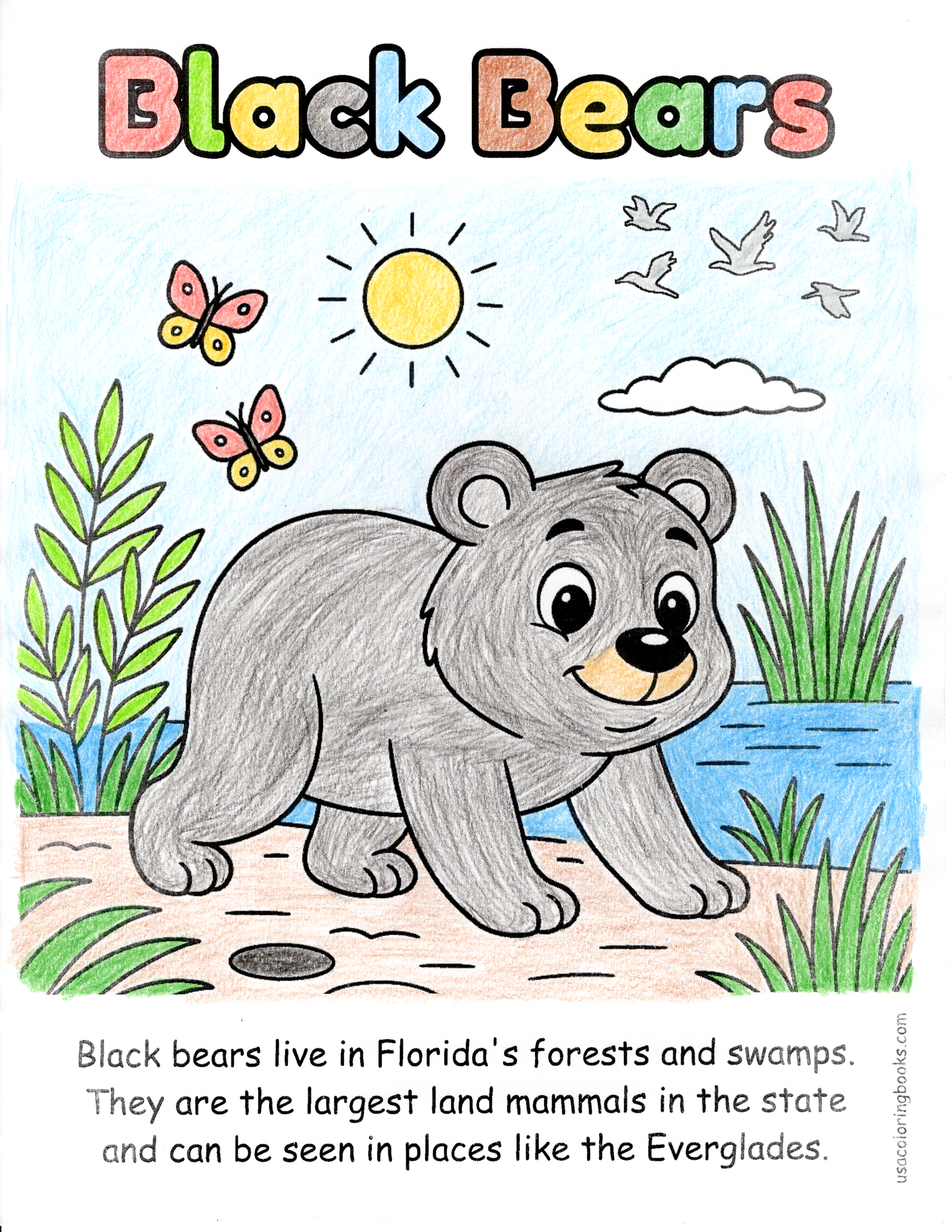 Florida Alligators coloring fun